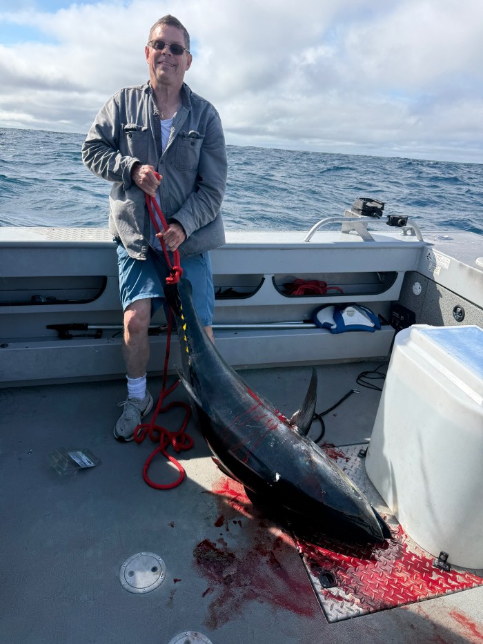 tuna